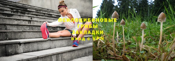 мескалин Горняк