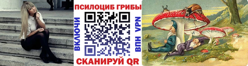 Галлюциногенные грибы мицелий  где найти   Чусовой 
